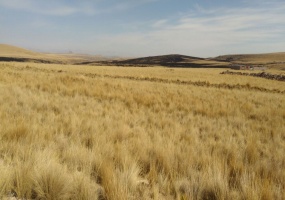 Venta de lotes en Alto Puno en Totorani
