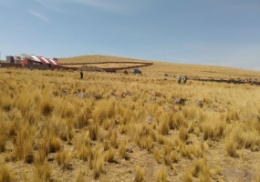Venta de lotes en Alto Puno en Totorani